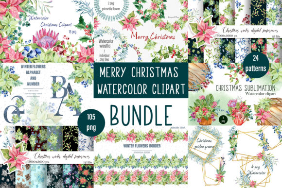 Christmas Set: Botanical Illustrations for Modern Design