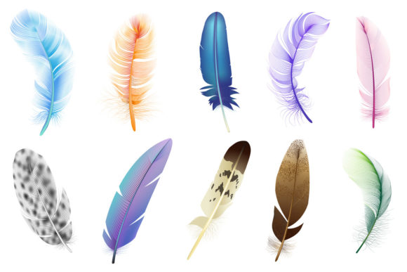 Realistic 3D Feathers: Avoiding Common Pitfalls for Professional Results