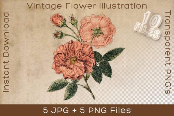 Red Vintage Flower Art Illustration for Makers