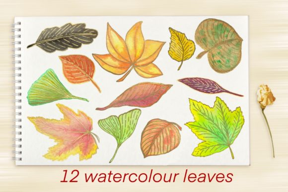 Set Autumn Leaves: Elevating Creative Workflows with Seasonal Precision