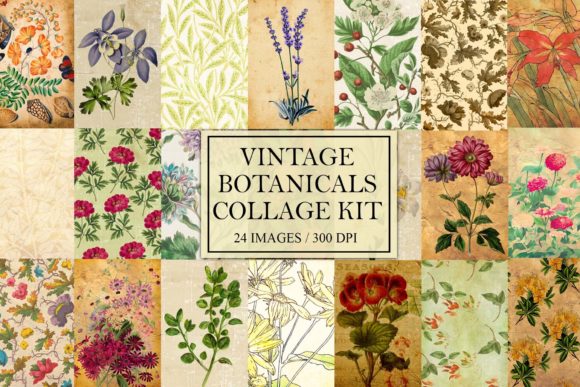 The Ultimate Guide to the Vintage Botanical Collage Kit