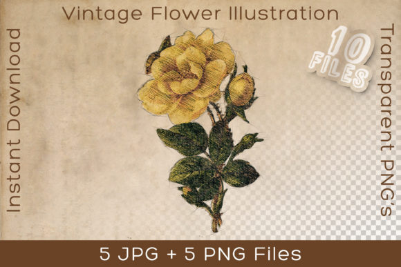Yellow Vintage Flower Art Illustration